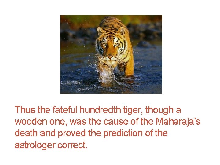 Thus the fateful hundredth tiger, though a wooden one, was the cause of the