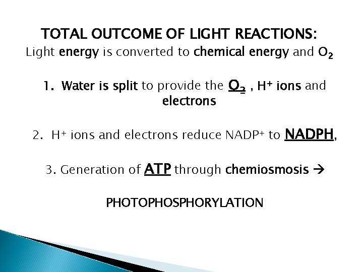 TOTAL OUTCOME OF LIGHT REACTIONS: Light energy is converted to chemical energy and O