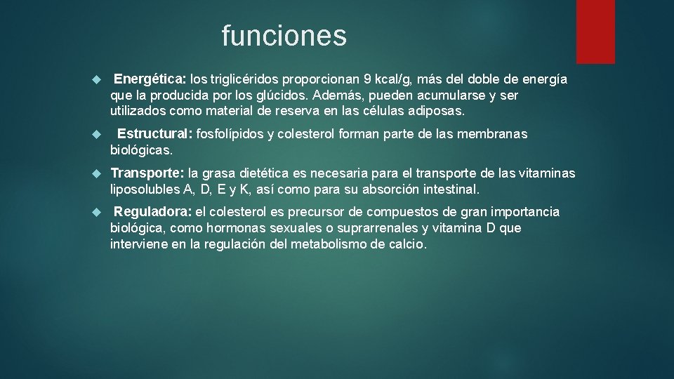 funciones Energética: los triglicéridos proporcionan 9 kcal/g, más del doble de energía que la