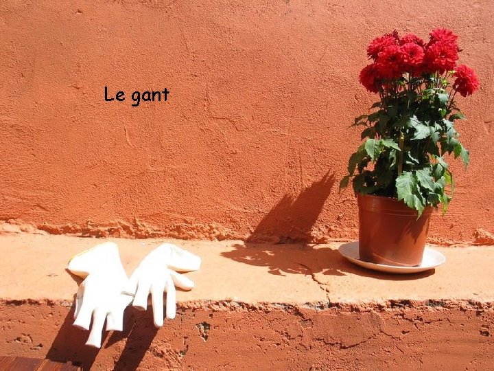 Le gant 