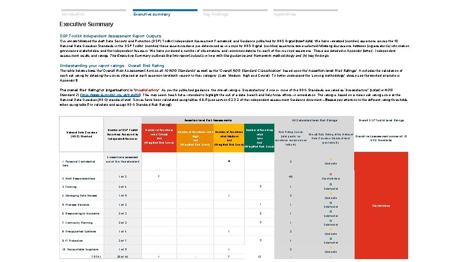 Introduction Key Findings Executive summary Appendices Executive Summary DSP Toolkit Independent Assessment Report Outputs