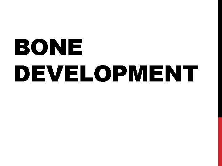 BONE DEVELOPMENT 