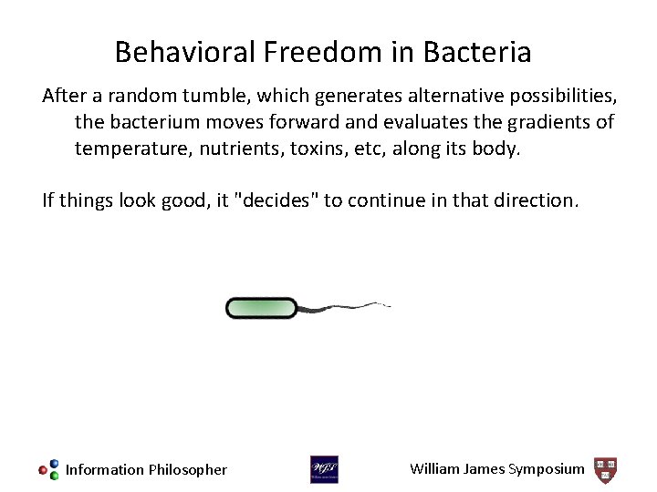 Behavioral Freedom in Bacteria After a random tumble, which generates alternative possibilities, the bacterium