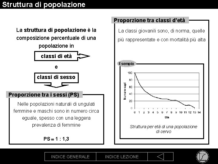 Struttura di popolazione Proporzione tra classi d’età La struttura di popolazione è la composizione