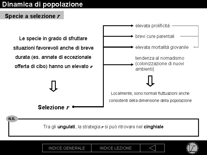 Dinamica di popolazione Specie a selezione r elevata prolificità brevi cure parentali Le specie