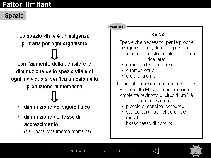 Fattori limitanti Spazio Esempio Lo spazio vitale è un’esigenza primaria per ogni organismo con