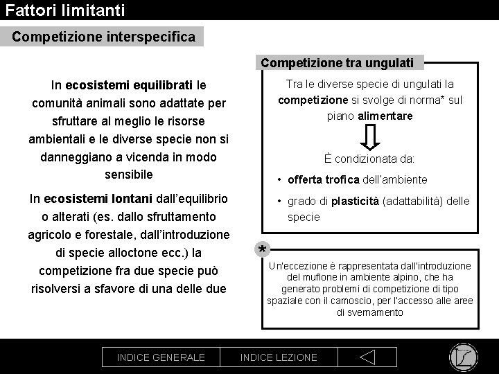 Fattori limitanti Competizione interspecifica Competizione tra ungulati In ecosistemi equilibrati le comunità animali sono