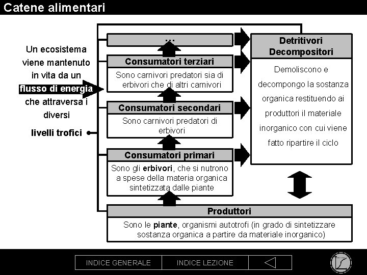 Catene alimentari … Un ecosistema viene mantenuto in vita da un flusso di energia