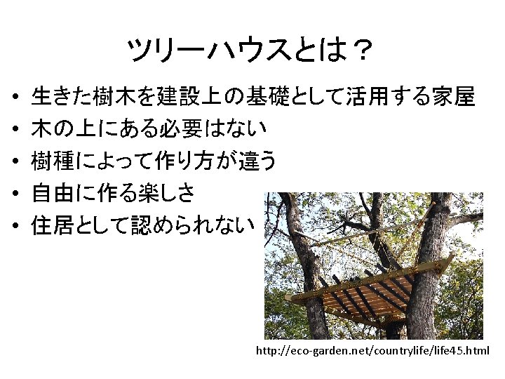 Three Story Tree House Tea House Tetsu Http
