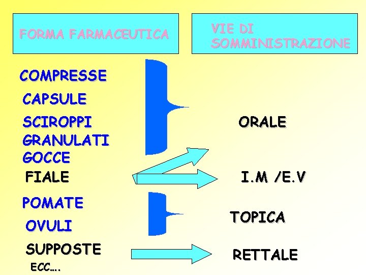 FORMA FARMACEUTICA VIE DI SOMMINISTRAZIONE COMPRESSE CAPSULE SCIROPPI GRANULATI GOCCE FIALE POMATE OVULI SUPPOSTE