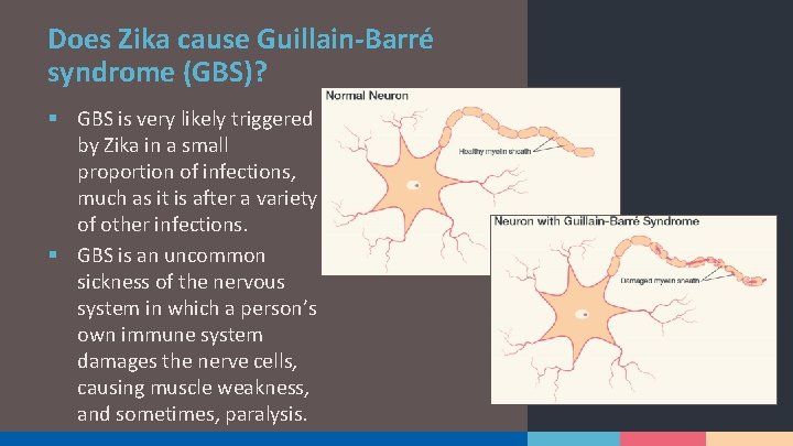 Does Zika cause Guillain-Barré syndrome (GBS)? § GBS is very likely triggered by Zika