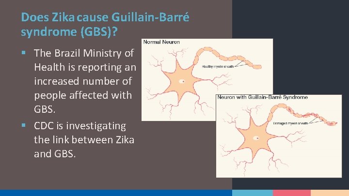 Does Zika cause Guillain-Barré syndrome (GBS)? § The Brazil Ministry of Health is reporting