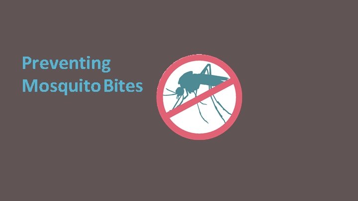 Preventing Mosquito Bites 