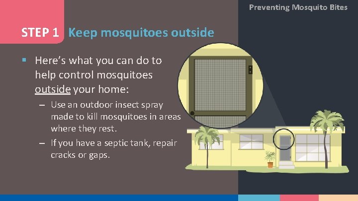 Preventing Mosquito Bites STEP 1 Keep mosquitoes outside § Here’s what you can do