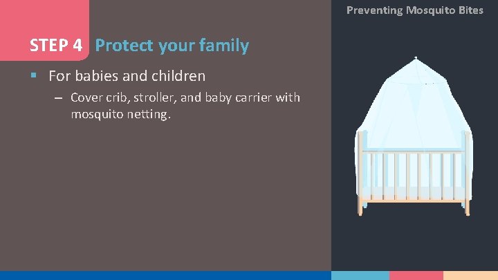 Preventing Mosquito Bites STEP 4 Protect your family § For babies and children –