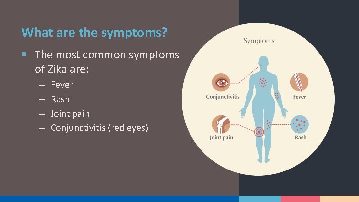 What are the symptoms? § The most common symptoms of Zika are: – –
