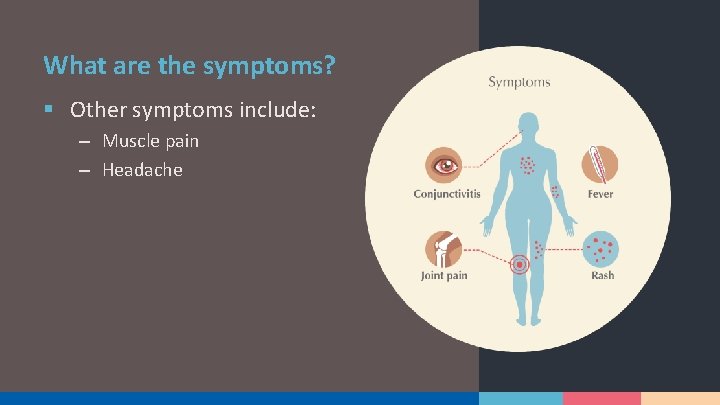 What are the symptoms? § Other symptoms include: – Muscle pain – Headache 