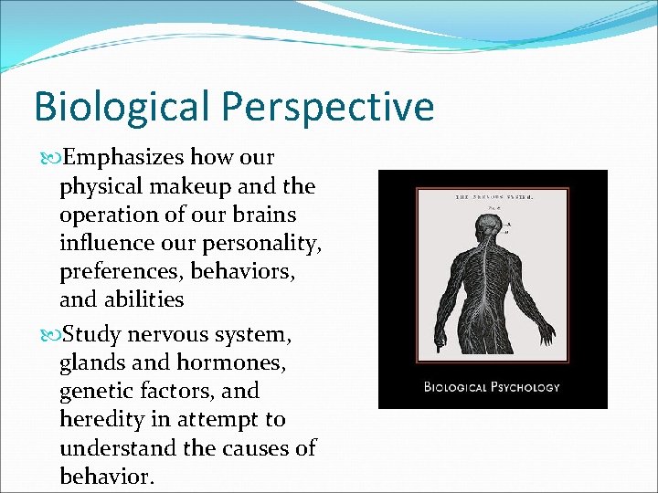 Biological Perspective Emphasizes how our physical makeup and the operation of our brains influence