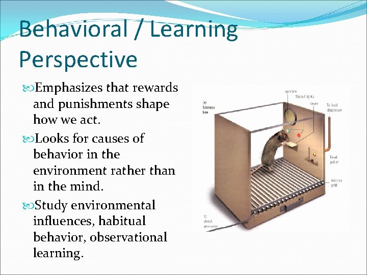 Behavioral / Learning Perspective Emphasizes that rewards and punishments shape how we act. Looks