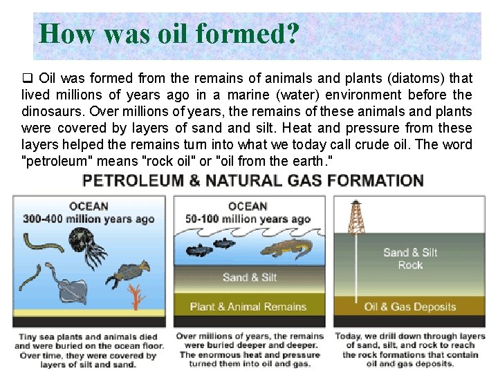 How was oil formed? q Oil was formed from the remains of animals and