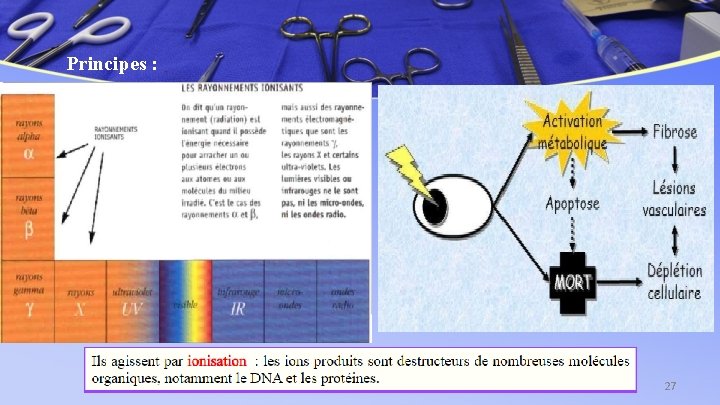 Principes : Procédés de stérilisation 27 