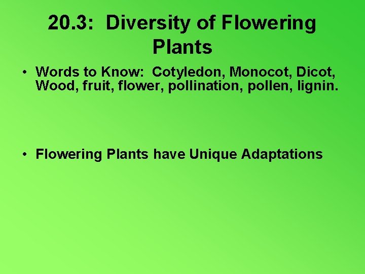 20. 3: Diversity of Flowering Plants • Words to Know: Cotyledon, Monocot, Dicot, Wood,