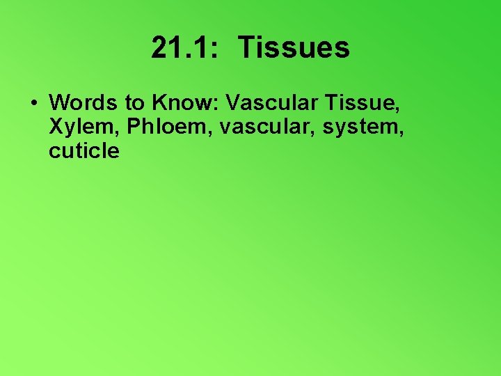 21. 1: Tissues • Words to Know: Vascular Tissue, Xylem, Phloem, vascular, system, cuticle