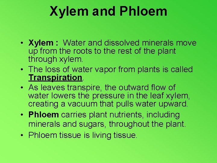 Xylem and Phloem • Xylem : Water and dissolved minerals move up from the