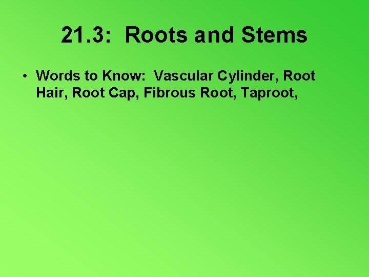 21. 3: Roots and Stems • Words to Know: Vascular Cylinder, Root Hair, Root