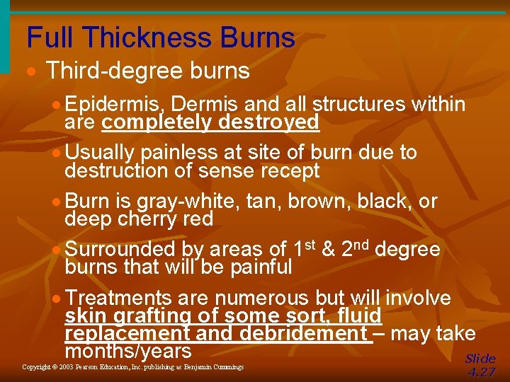 Full Thickness Burns · Third-degree burns · Epidermis, Dermis and all structures within are Full Thickness Burns · Third-degree burns · Epidermis, Dermis and all structures within are