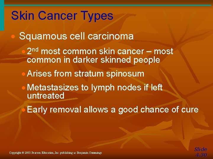 Skin Cancer Types · Squamous cell carcinoma · 2 nd most common skin cancer Skin Cancer Types · Squamous cell carcinoma · 2 nd most common skin cancer
