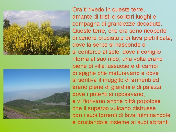 Ora ti rivedo in queste terre, amante di tristi e solitari luoghi e compagna Ora ti rivedo in queste terre, amante di tristi e solitari luoghi e compagna