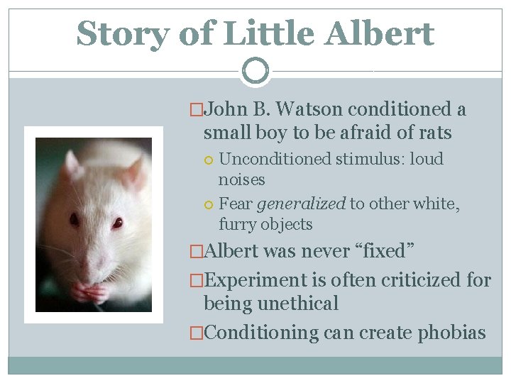 Story of Little Albert �John B. Watson conditioned a small boy to be afraid