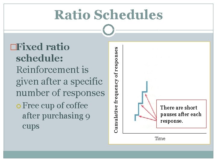 �Fixed ratio schedule: Reinforcement is given after a specific number of responses Free cup