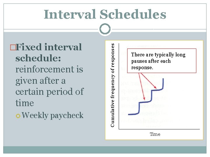 �Fixed interval schedule: reinforcement is given after a certain period of time Weekly paycheck