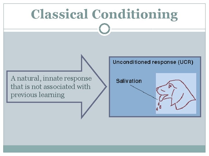 Classical Conditioning A natural, innate response that is not associated with previous learning 