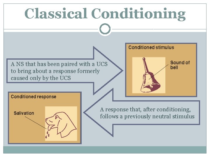Classical Conditioning A NS that has been paired with a UCS to bring about