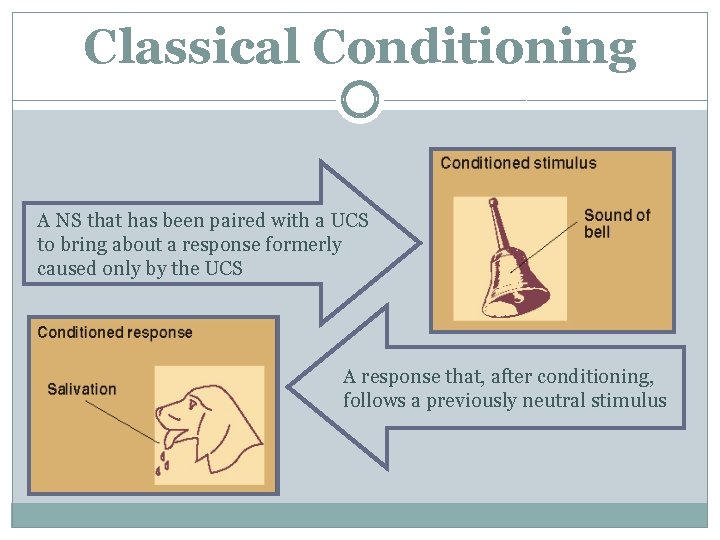 Classical Conditioning A NS that has been paired with a UCS to bring about