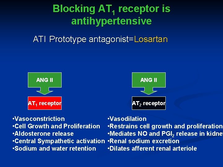 Blocking AT 1 receptor is antihypertensive ATI Prototype antagonist=Losartan ANG II AT 1 receptor