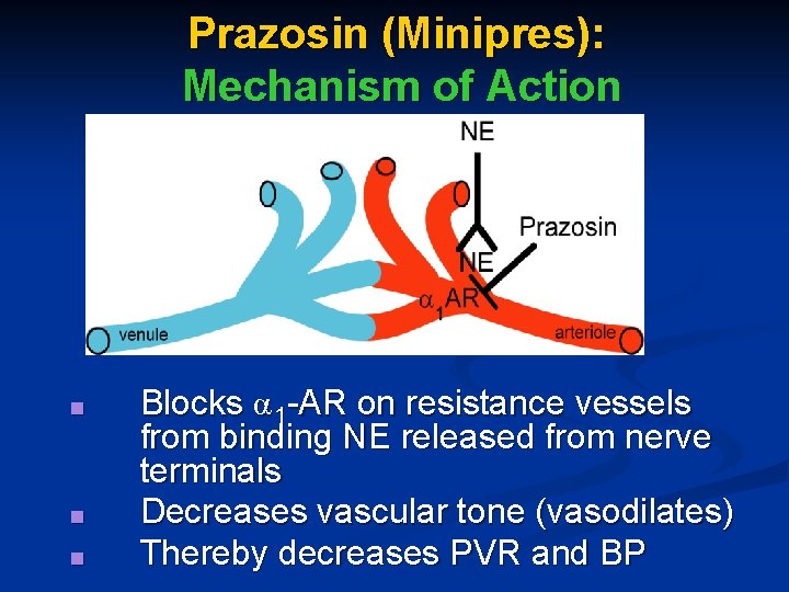 Prazosin (Minipres): Mechanism of Action ■ ■ ■ Blocks α 1 -AR on resistance