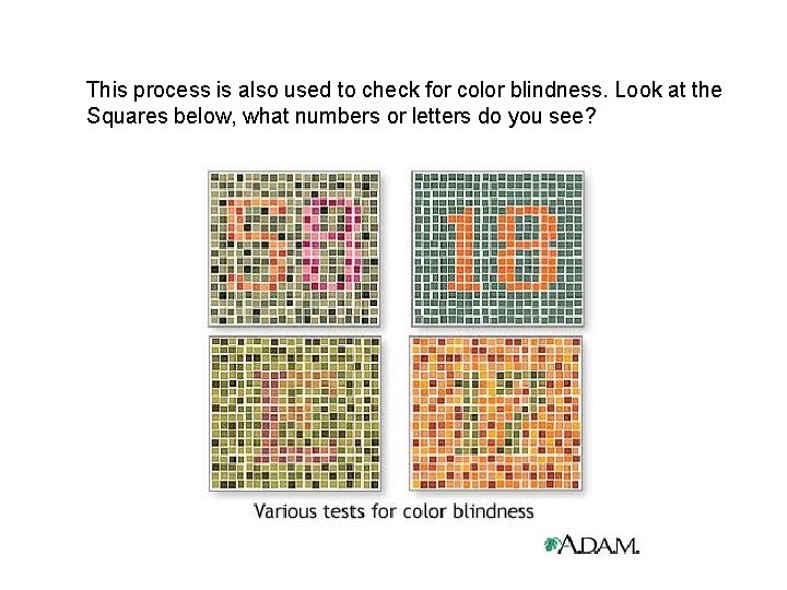 This process is also used to check for color blindness. Look at the Squares
