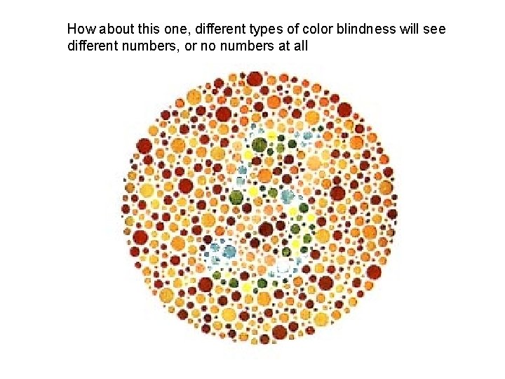 How about this one, different types of color blindness will see different numbers, or