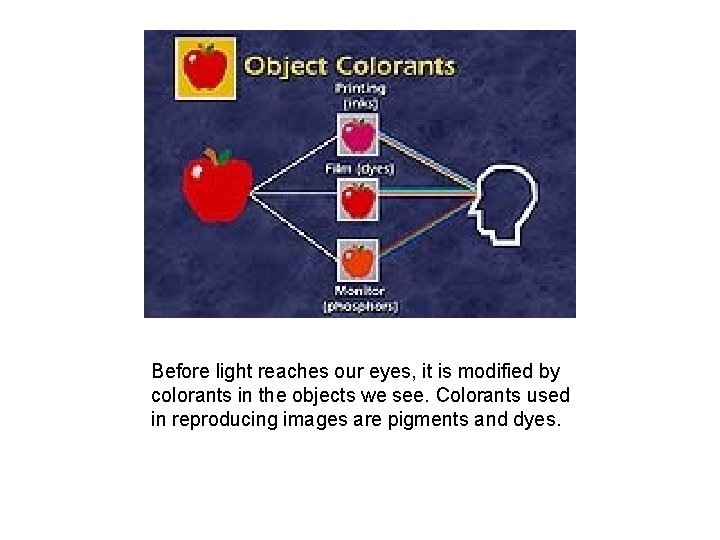 Before light reaches our eyes, it is modified by colorants in the objects we