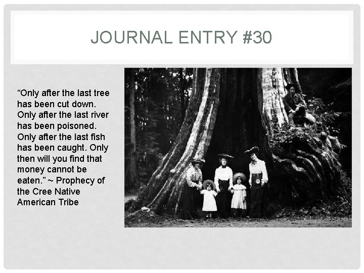 JOURNAL ENTRY #30 “Only after the last tree has been cut down. Only after