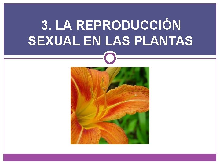 3. LA REPRODUCCIÓN SEXUAL EN LAS PLANTAS 