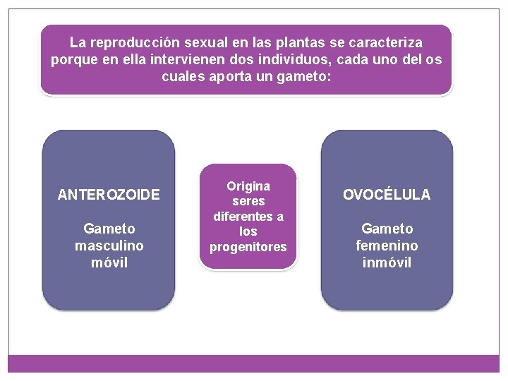 La reproducción sexual en las plantas se caracteriza porque en ella intervienen dos individuos,