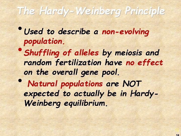 The Hardy-Weinberg Principle • Used to describe a non-evolving population. • Shuffling of alleles