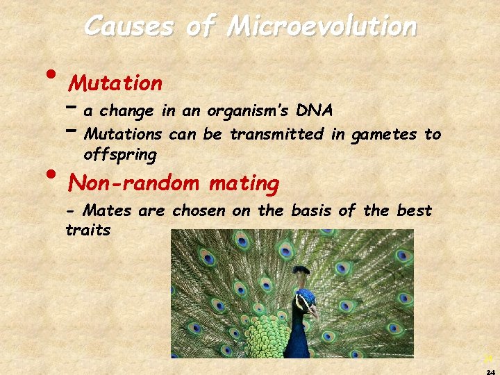 Causes of Microevolution • Mutation - a change in an organism’s DNA - Mutations