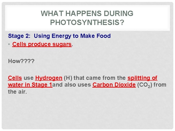 WHAT HAPPENS DURING PHOTOSYNTHESIS? Stage 2: Using Energy to Make Food • Cells produce