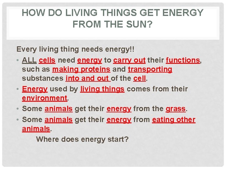 HOW DO LIVING THINGS GET ENERGY FROM THE SUN? Every living thing needs energy!!